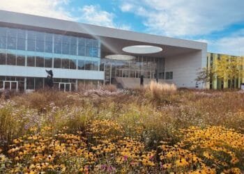 Brainport Eindhoven short of space, homes and workers: report