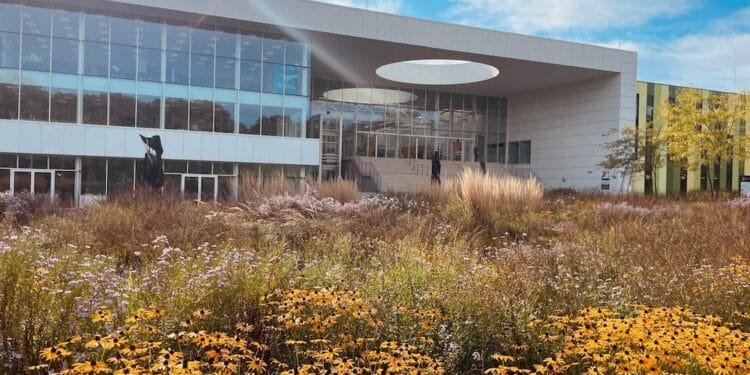 Brainport Eindhoven short of space, homes and workers: report