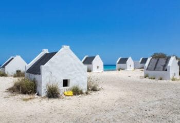 Greenpeace in court over Dutch failure to protect Bonaire