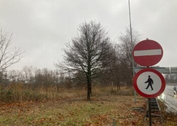 D66 falls out of love with Amsterdam erotic centre plan