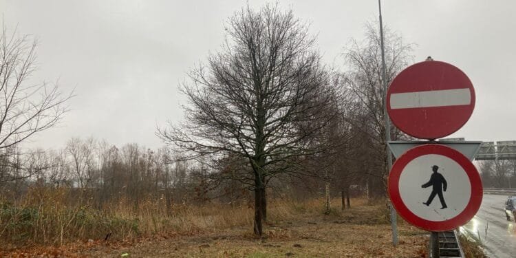 D66 falls out of love with Amsterdam erotic centre plan