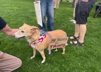 Americans in the Netherlands prepare for No Kings rally