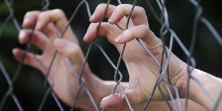 More minors, foreign workers are victims of human traffickers