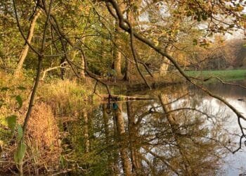 Saturday will be sunny, but the grey skies will return next week