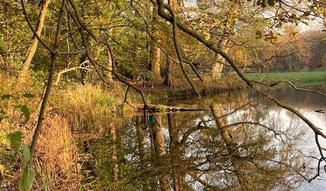 Saturday will be sunny, but the grey skies will return next week