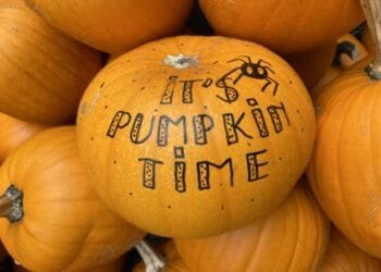 Fright night: 13 ways to celebrate Halloween in the Netherlands