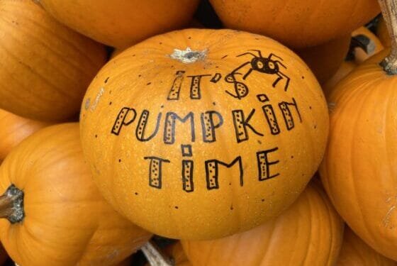 Fright night: 13 ways to celebrate Halloween in the Netherlands