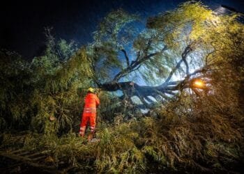 Benjamin batters the Netherlands, fifth official storm this year