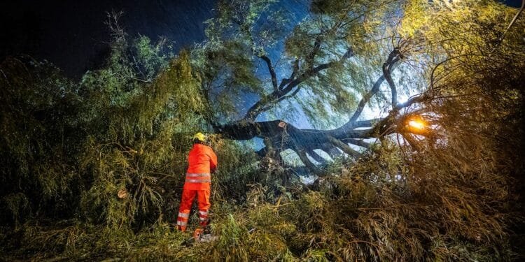 Benjamin batters the Netherlands, fifth official storm this year