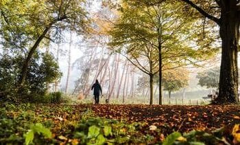 Voor het eerst in bijna een halfjaar nergens warmer dan 15 graden