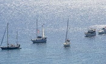 Alle Nederlandse activisten die naar Palestina voeren, vrijgelaten uit Israël