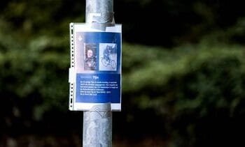 Vermiste Tijn (25) dood gevonden, mannen verdacht van moord/doodslag