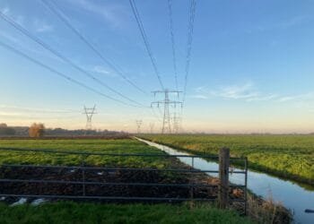 Three foundations line up to fight energy bill mass claim case