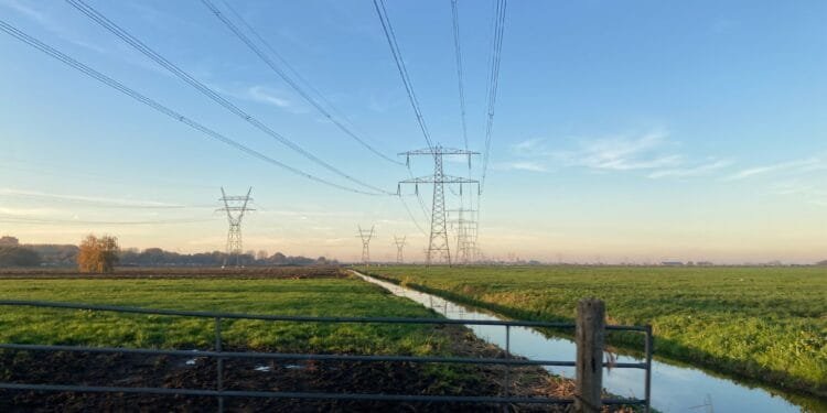 Three foundations line up to fight energy bill mass claim case