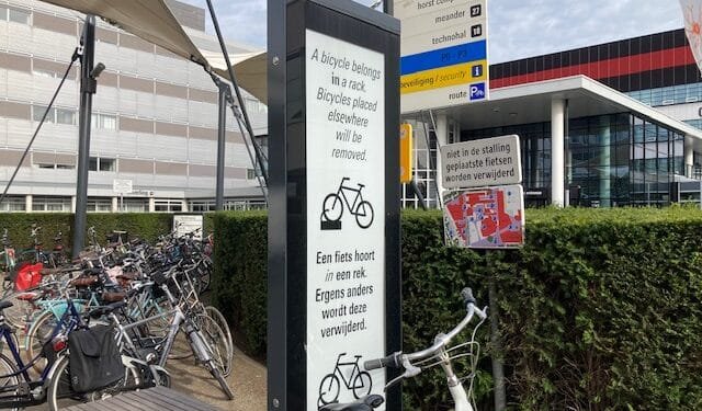 “Cutting foreign student numbers will hit Dutch economy hard”