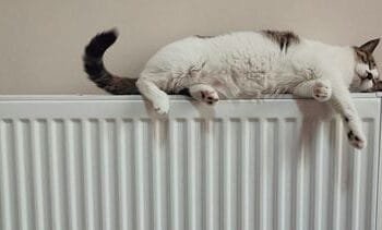 Opvallend Action-gadget bespaart je honderden euro’s