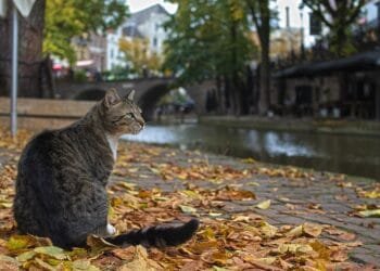 Temperatures could reach 18° this week in the south