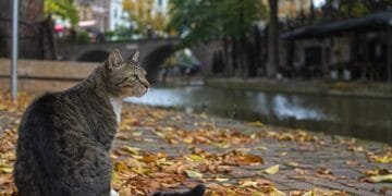 Temperatures could reach 18° this week in the south