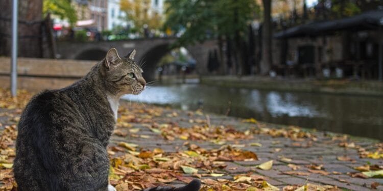 Temperatures could reach 18° this week in the south