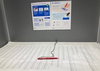 Fewer than half VVD supporters voted for party leader Yesilgöz