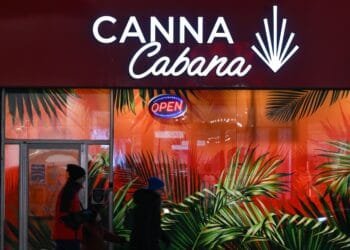 Legal Canadian cannabis fuels new smuggling route via Rotterdam