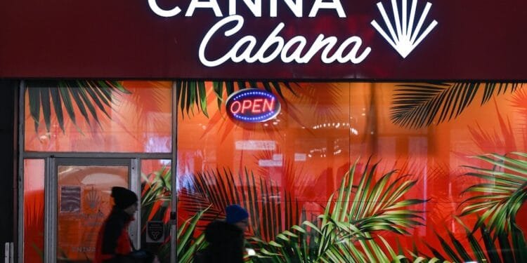 Legal Canadian cannabis fuels new smuggling route via Rotterdam