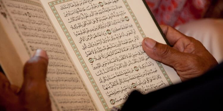 Bag of destroyed Korans and dead bird left at door of mosque