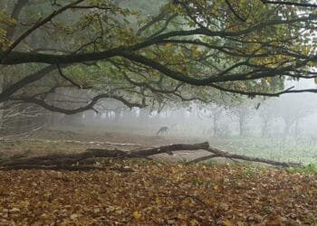 Warmer weather early this week but a chilly weekend awaits