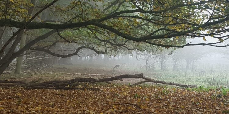 Warmer weather early this week but a chilly weekend awaits