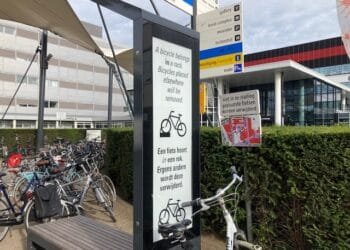 International students decline by 5%, Dutch enrolments also down