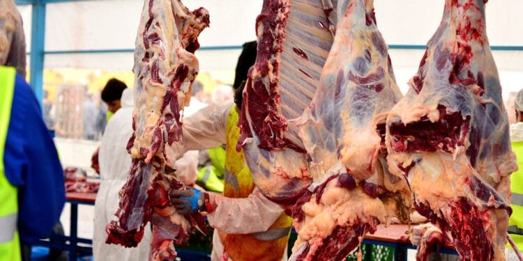 Senate backs new licencing system for staffing agencies