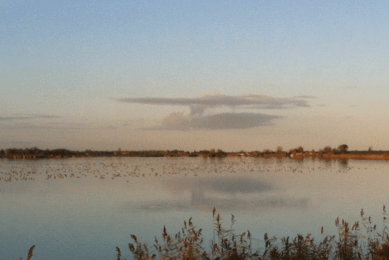 Dutch destinations: a weekend in Edam, Monnickendam and Marken