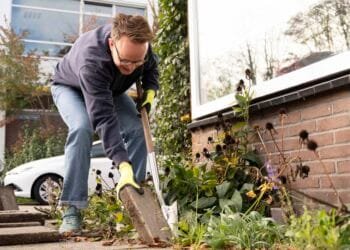 Tile take-out competition creates acres of new green spaces
