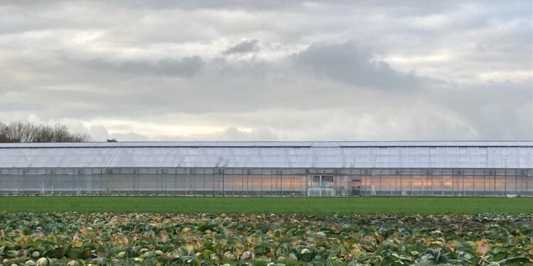 Dutch agro firms still active in Russia despite Ukraine invasion