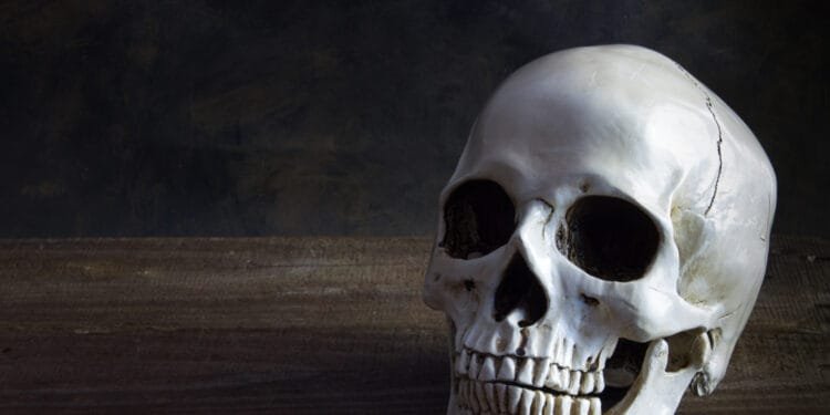 Auction house stops sale of sacred skulls following protests