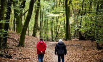 Temperatuur begin van de week ver boven gemiddelde voor november