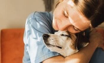denk goed na voor je een huisdier neemt