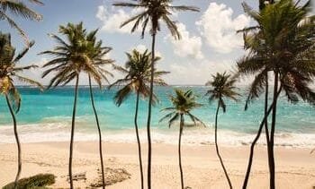 Dit wil je weten voor je naar Barbados op vakantie gaat (en geloof ons: dat wil je)