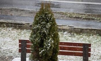 De eerste sneeuw is gevallen (en er komt nog meer aan)