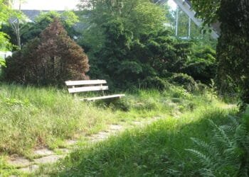 Dordrecht council opened coffins without telling relatives
