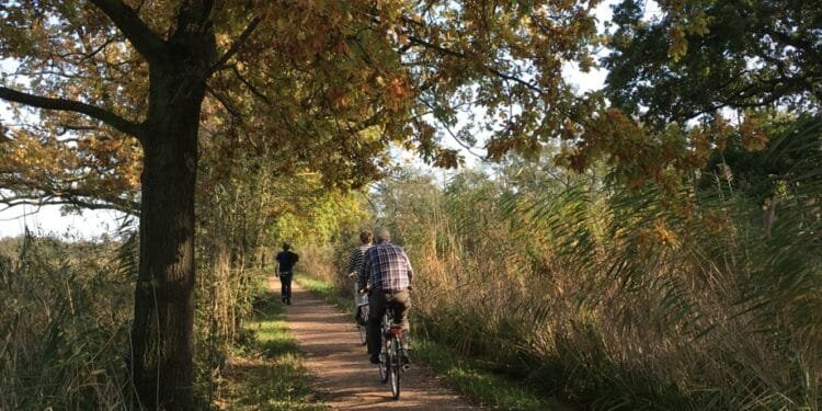 APG to cut up to 1,200 jobs as new pension system looms