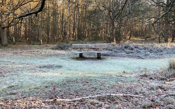 It will turn colder from Saturday but no white Christmas ahead