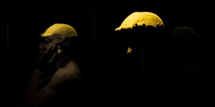 Dutch return Homo Erectus skull cap and tooth to Indonesia