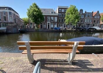 Every home should have a view of a tree, health experts say