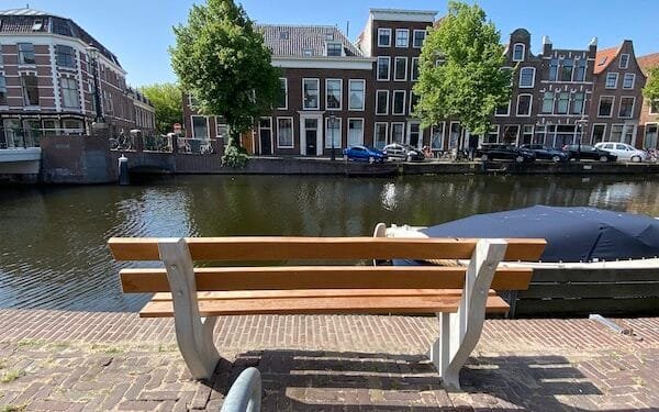 Every home should have a view of a tree, health experts say