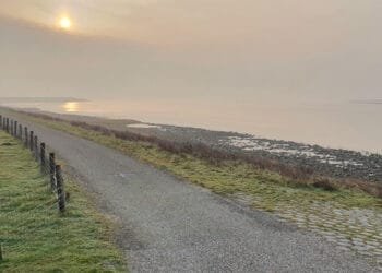 3M to pay Westerschelde businesses over PFAS pollution