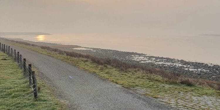 3M to pay Westerschelde businesses over PFAS pollution