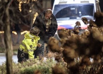 Shock and distress in Nunspeet after parade crash injures nine