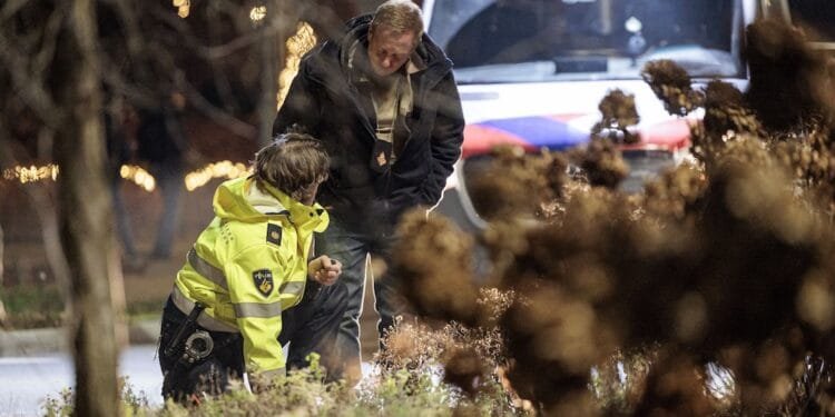 Shock and distress in Nunspeet after parade crash injures nine