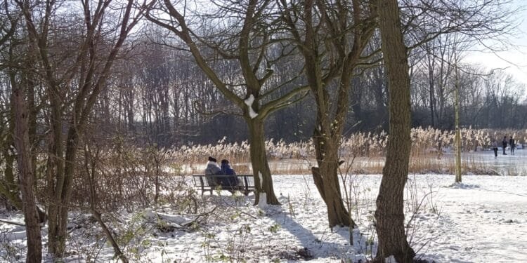 Snow expected nationwide Netherlands in first weekend of 2026